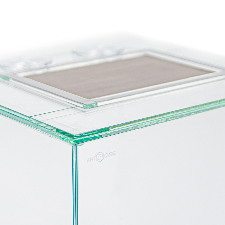 Ant arena frame 30x30 - 5cm